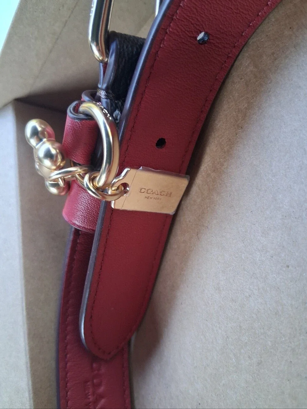 Coach Dog Collar